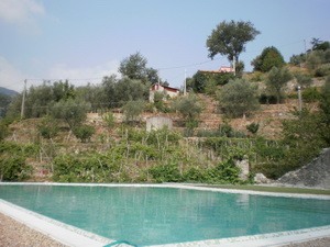 We are continually refining and adding to our portfolio of Nice Places to stay in Italy, so visit our site regularly to find somewhere just that little bit special. All our places to stay are presented with photos and descriptions taken and selected by us personally to give an impression as true to the reality as we can. All places are chosen by our team here in Italy for their combination of price, quality, charm and location. We work in partnership with family run hotels, guest houses and self-catering accommodations. This is NOT an unverified 'web portal' or online directory - we select only those places which we believe make excellent places to base a 1 week holiday or longer.